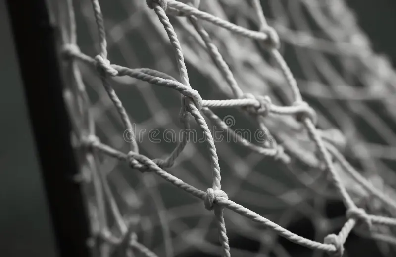 Knotted Nets
